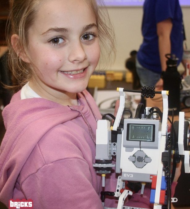 How do we keep Girls Engaged in STEM Subjects?