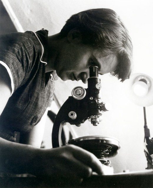 Game Changers and Change Makers: Rosalind Franklin
